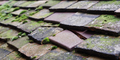 Hastings roof repair costs